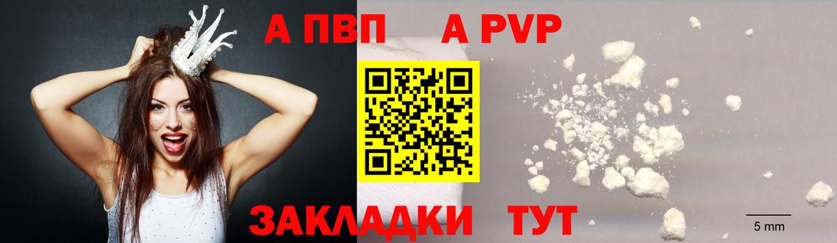 Альфа ПВП  A-PVP СК КРИС  Вход с VPN  Альфа ПВП VHQ  Великий Новгород 