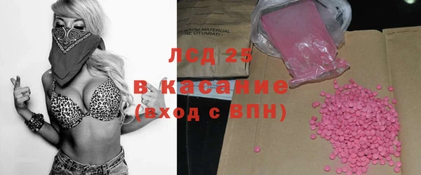 прущие грибы Абинск