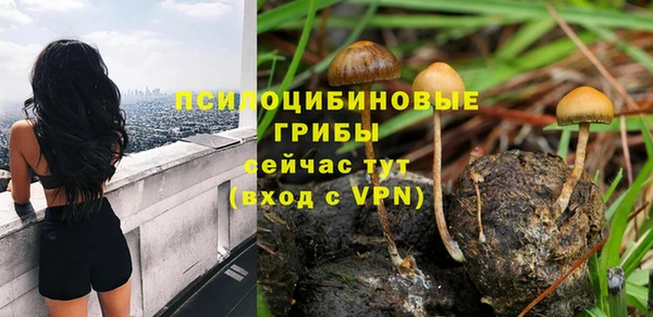 молекула духа Абаза