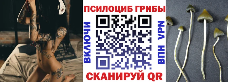 Псилоцибиновые грибы Magic Shrooms  Великий Новгород 