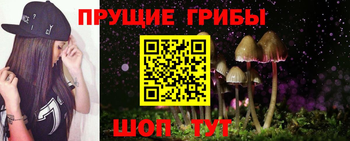 Великий Новгород  Галлюциногенные грибы Magic Shrooms  Псилоцибиновые грибы Cubensis  Вход с VPN 